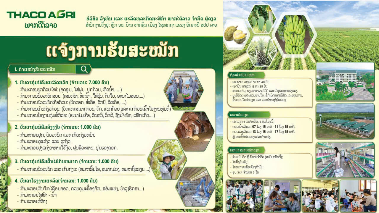 📣 ແຈ້ງການຮັບສະໝັກພະນັກງານ - ບໍລິສັດ THACO AGRI ພາກໃຕ້ລາວ
